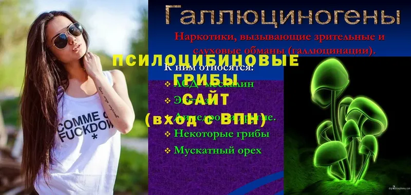 Галлюциногенные грибы мицелий Новоуральск